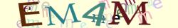 Retype the CAPTCHA code from the image