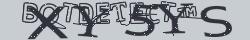 Retype the CAPTCHA code from the image