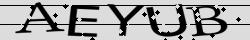 Retype the CAPTCHA code from the image