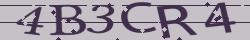 Retype the CAPTCHA code from the image
