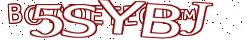 Retype the CAPTCHA code from the image