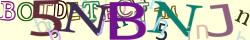 Retype the CAPTCHA code from the image