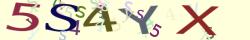 Retype the CAPTCHA code from the image