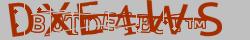 Retype the CAPTCHA code from the image