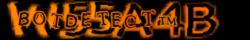 Retype the CAPTCHA code from the image