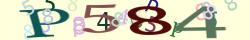 Retype the CAPTCHA code from the image