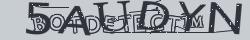 Retype the CAPTCHA code from the image